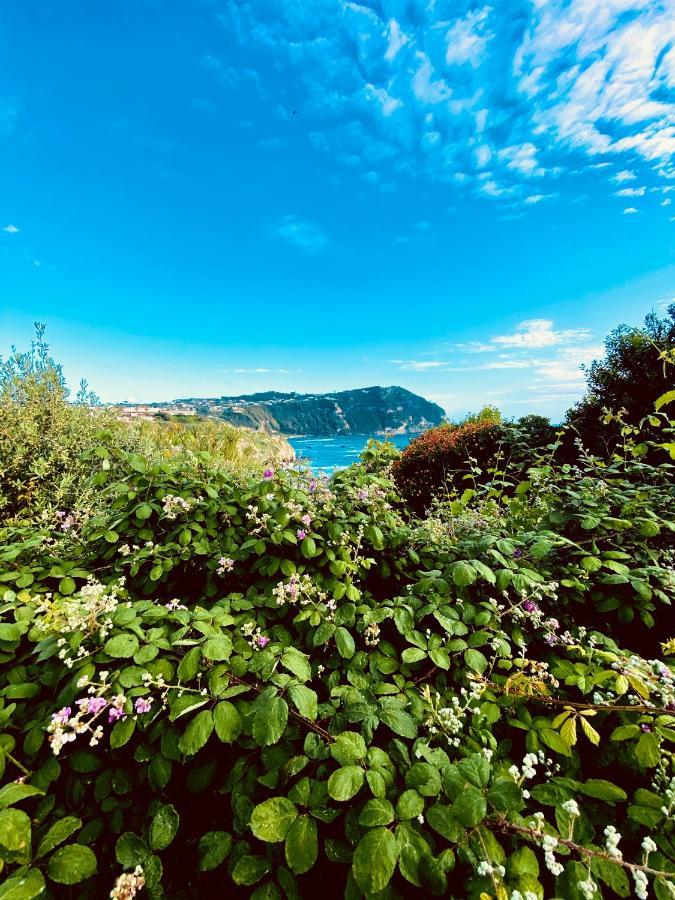 La Fortezza Forio di Ischia Eksteriør bilde